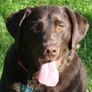 Meet your Posher, Irene